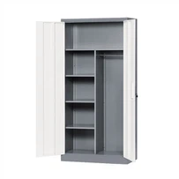 Armari d'armari metàl·lic